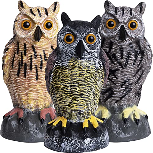 Galashield Plastic Owl Decoys [Set of 3] - Multicolor Owl Statues for Garden & Outdoors, Scare Birds Away, Realistic Design with Reflective Eyes, Weather Resistant