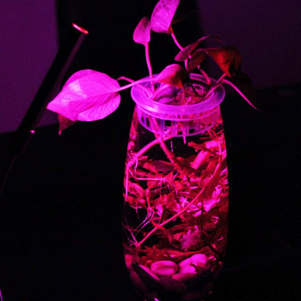 ELECTROPRIME 30W Full Spectrum LED COB Chip Grow Light Plant Growing Lamp Bulb 220V