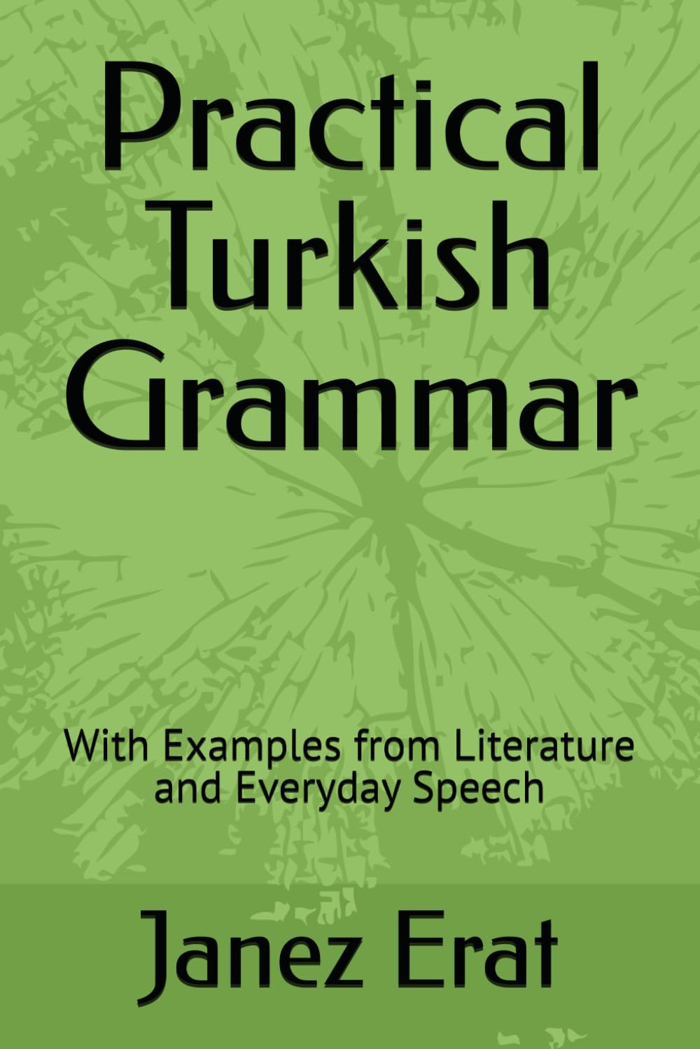 Practical Turkish Grammar: With Examples from Literature and Everyday Speech