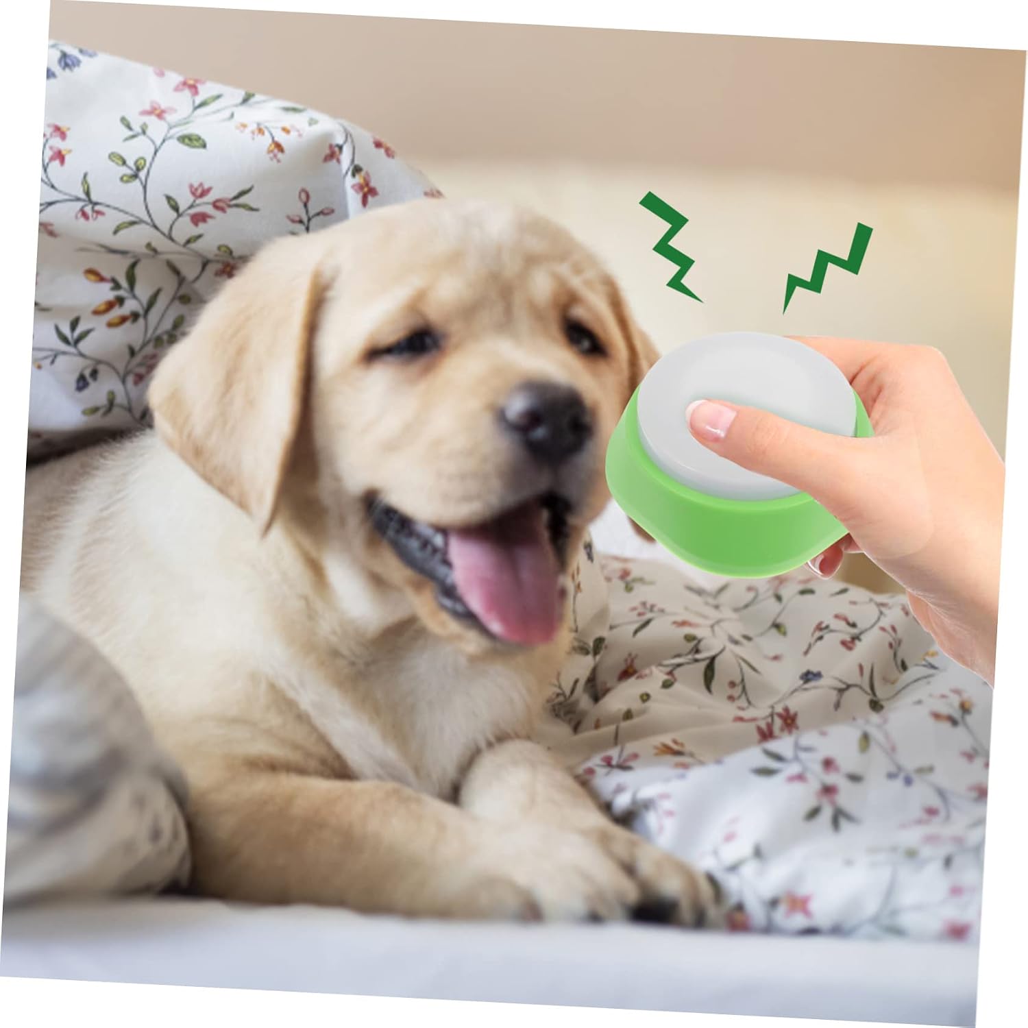 Toyvian Recordable Dog Communication Button Glowing Training Toy for Pets Interactive Talking Button Sound for Dog Training and Communication