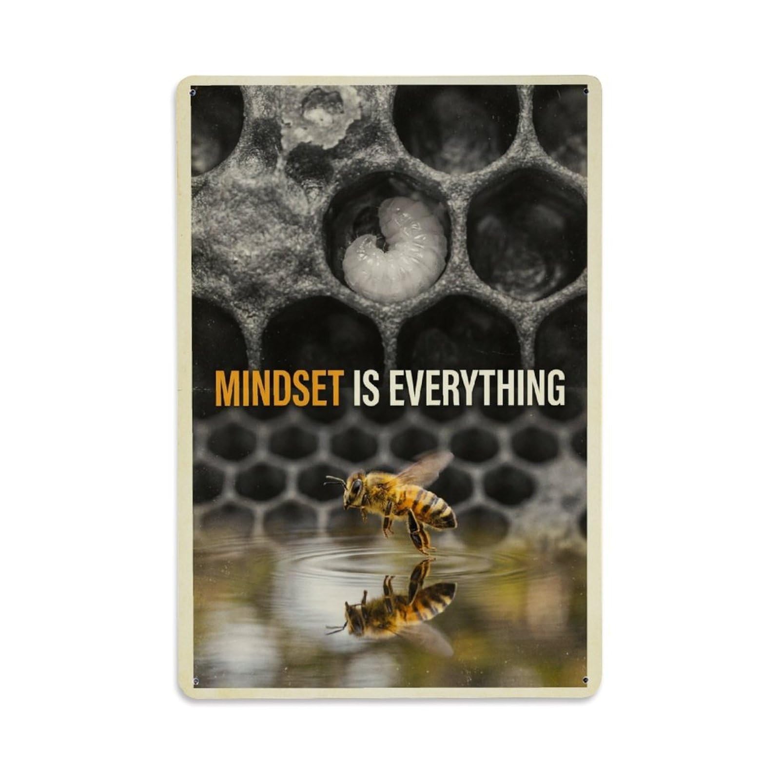 Olhnbad Style Bee Insect Mindset Is Everything Motivational Quote Metal Tin Sign