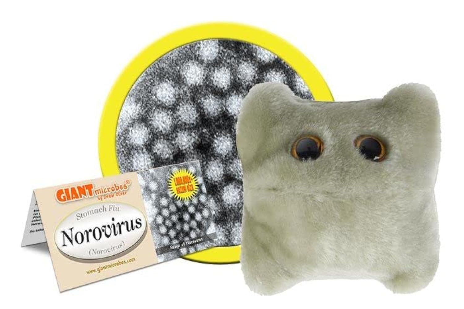 GIANTmicrobes Norovirus Plush, Public Health, Science Teacher Gifts, Pharmacists Gifts, Infectious Disease Doctor Gift, Nurse Practitioner