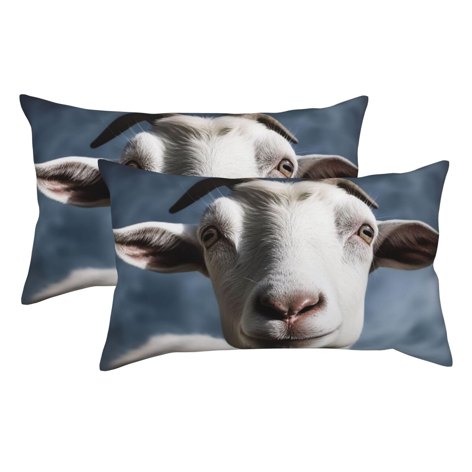 2 Pack King Pillow Cases with Hidden Zipper, Soft Breathable Pillow Covers for Hair and Skin, Goat Pillowcases 20"x36" Bed Pillow Protectors Cover for Sleeping Gifts