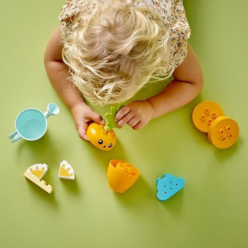 Miniatura 3 de LEGO 66776 DUPLO - Paquete de regalo de frutas y verduras, juguete educativo para niños pequeños de 18 meses más Cultiva tu propio y cosecha de