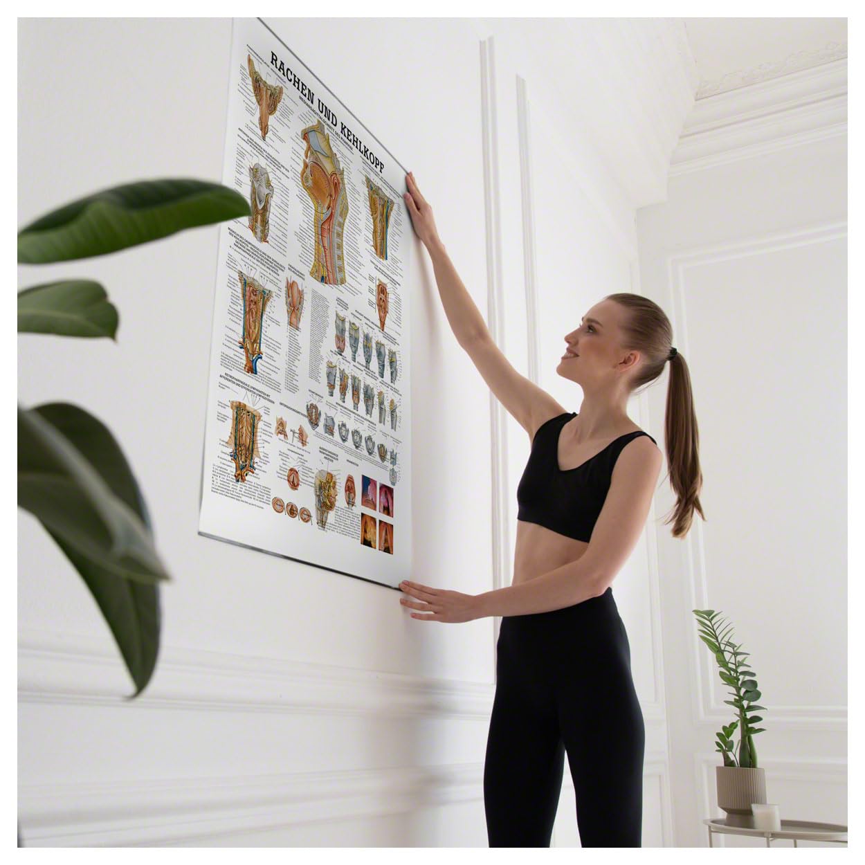 Sport-Tec Rachen und Kehlkopf Lehrtafel Anatomie 100x70 cm medizinische Lehrmittel