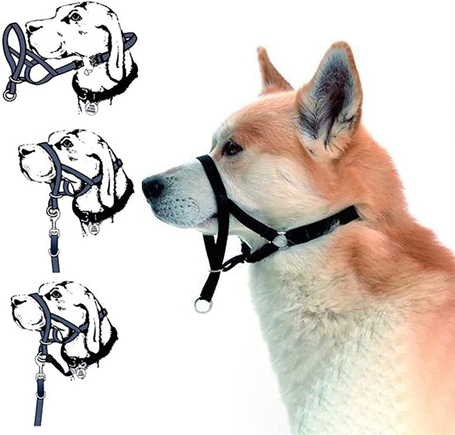 Licol pour Chien,Le Collier Anti-Traction de Dressage pour Chiens,Outil de Dressage pour Chien,Harnais Professionnel pour Chien,Muselière pour Chien,Le Dressage du Chien,5 Tailles (XL)