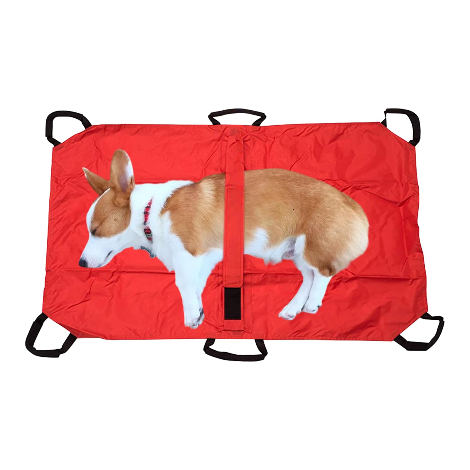 Brancard Transport pour Chien | Brancard Porte-Animaux | Léger pour Secours Et Levage De Patients Animaux Chiots Chats Lapins