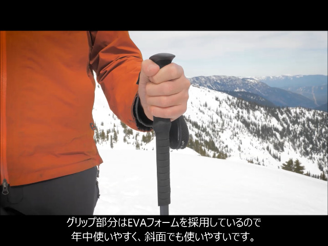 Amazon | エムエスアール(MSR) スキー ポール バックカントリー ダイナ