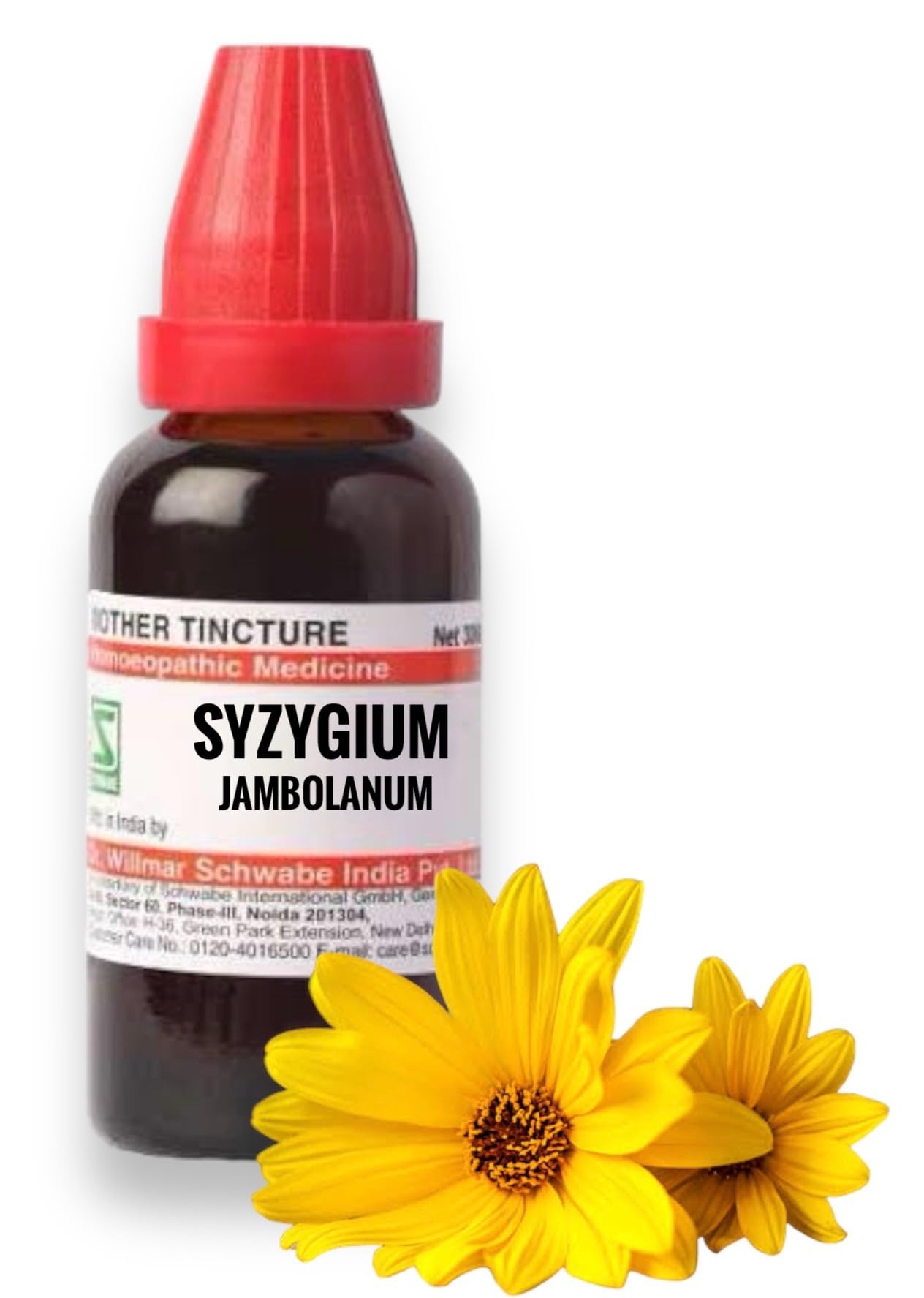 Willmar Schwabe Syzygium Jambolanum Mother Tincture Q (30ml) - Set of 2 Bottles (B0CWDP6PPM) Amazon Price History, Amazon Price Tracker