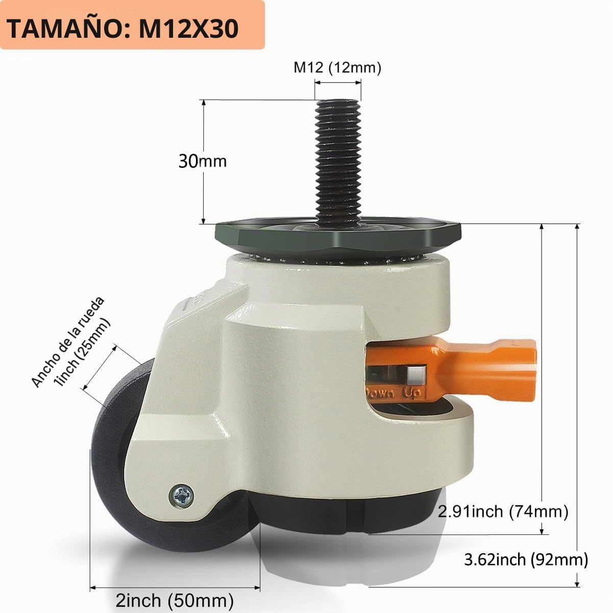 Ruedas para Muebles Pesados Hasta 1000 kg, Rueda Giratorias 360° con Carraca Ajustable, 50mm Silencioso y Resistente Ruedas Pesados para Muebles con Perno M12x30