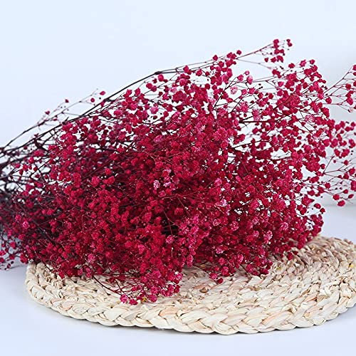 YIWOYI Natural Dry Flower Gypsophila Fresh Dried Preserved Flowers Gypsophila Paniculata Breath Flower Bouquets For Wedding Party Home Dekoration (rose Red,40-55cm80g)