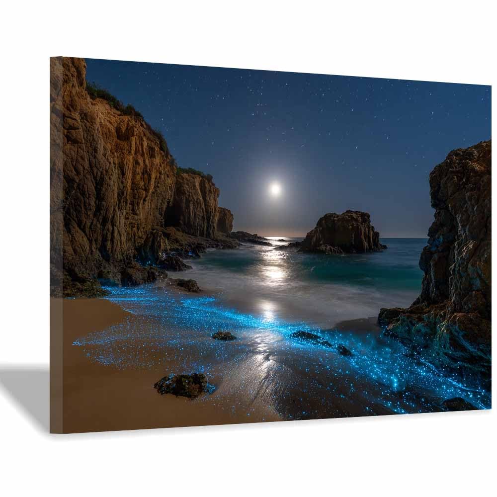 HOQIU Natural scenery wall art Glowing Moonlit Shore decorative painting, wall art, for Living Room Bathroom Bedroom Kitchen Decoration.(Multicolor)-30x40cm Framed