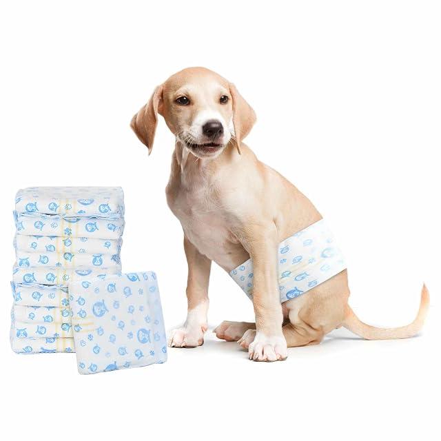 vidaXL Pañal Desechable para Perro Macho 30 uds. Blanco XS