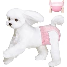 Ambreview Disposable Dog Diapers Female, Just Pull It Up, Doggie Diapers for Female Dogs, Strong Absorbency | Leak Proof, for Dogs in Heat | Elderly | Disabled, L 10 PCS