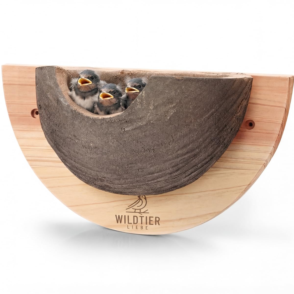 wildtier liebe Nid d'hirondelle naturel pour hirondelles à farine en bois massif et dormant réalistes – Non traité, résistant aux intempéries, hirondelles