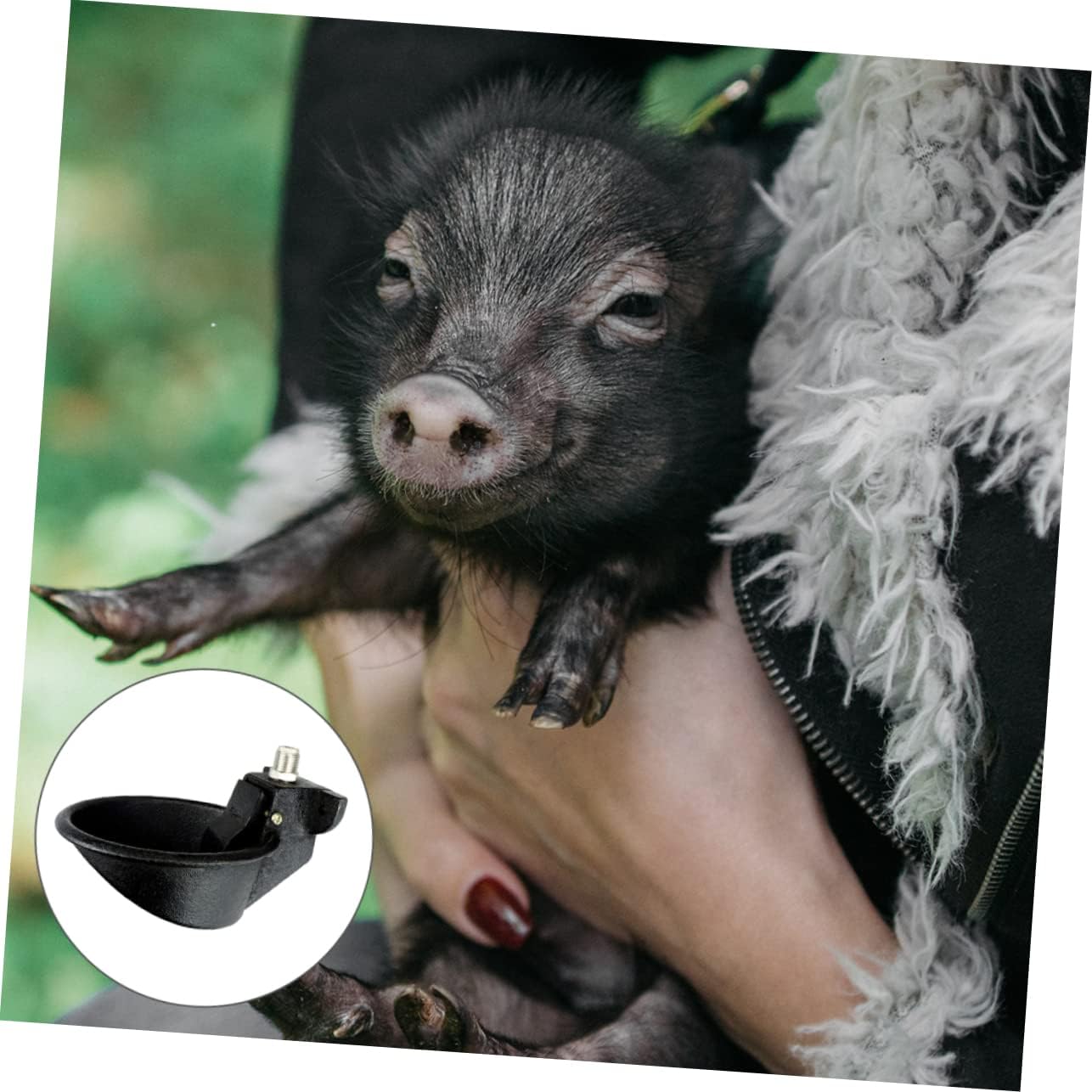 VICASKY 2pcs Pig Water Feeding Bowl Automatic Livestock Waterer Animal Drinkers Anti-Upside Down Safe Engineering