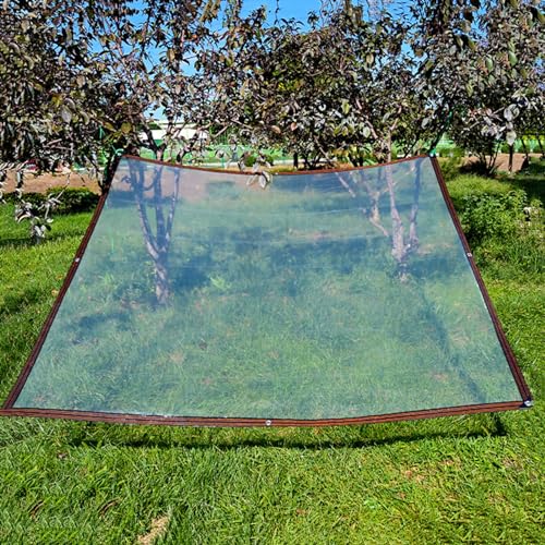Lona Transparente Resistente 2,5x2,5m Impermeable con Ojales 7