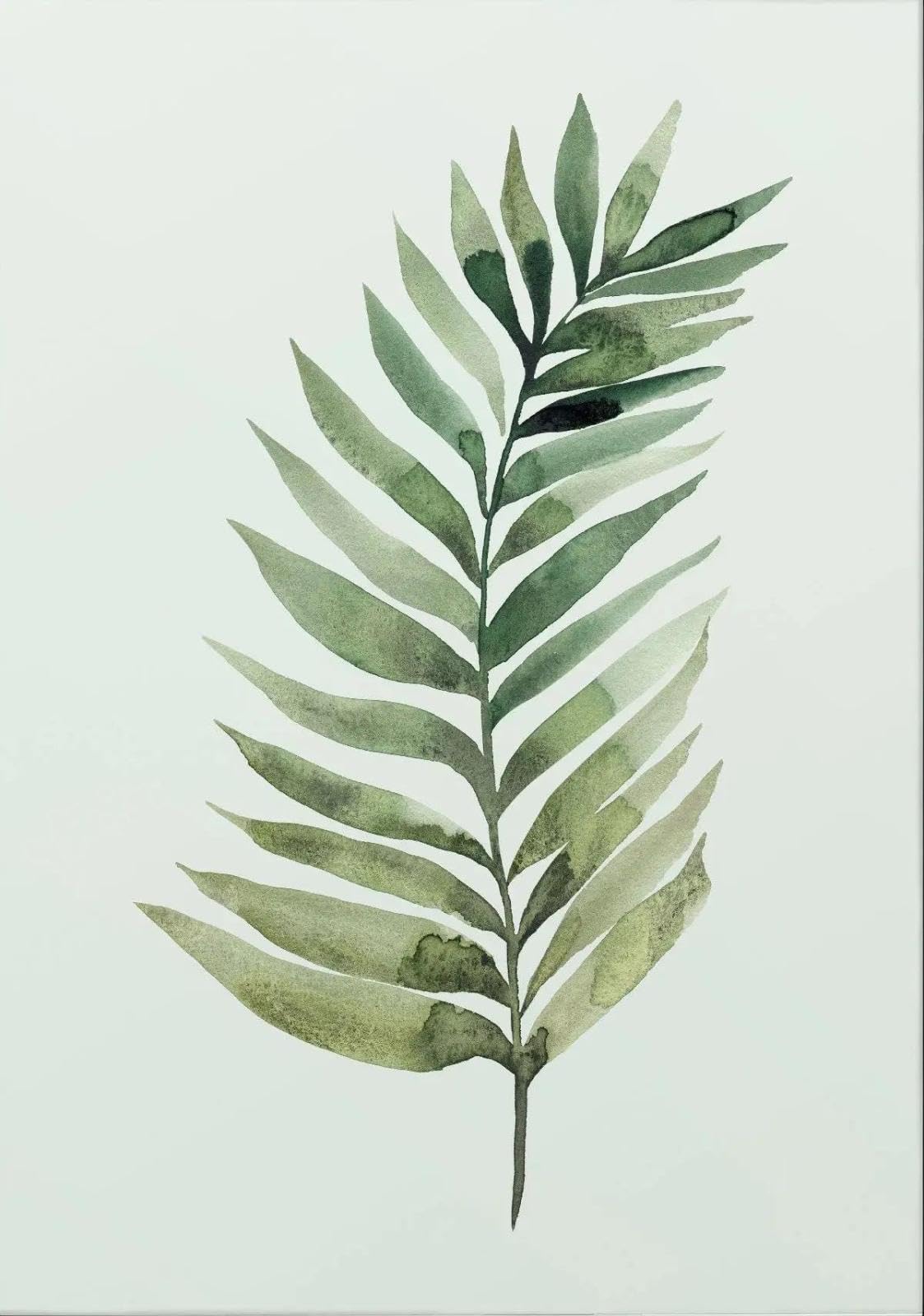 Baibexing Minimalist Tropical Leaf Digital Nature Canvas Painting Posters Prints Wall Art For Living Room Home Decor A1 30X40Cm Unframed