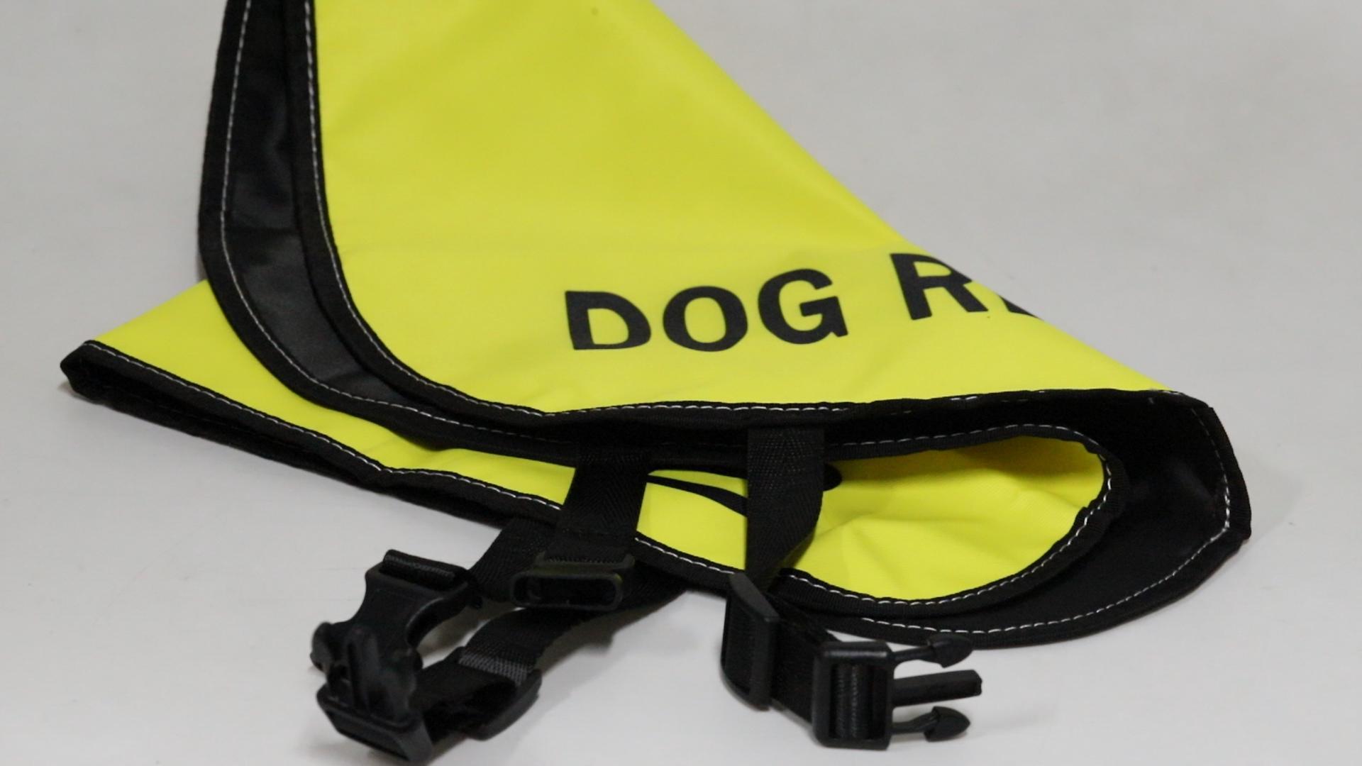 Do Not Pet Dog Vest JXGZSO Nervous Dog Jacket Vest Service Dog Working Dog No Touch No Talk No Eye Contact Slogan Warning Vest (Eye Contact L CA Thunder Shirts For Dog