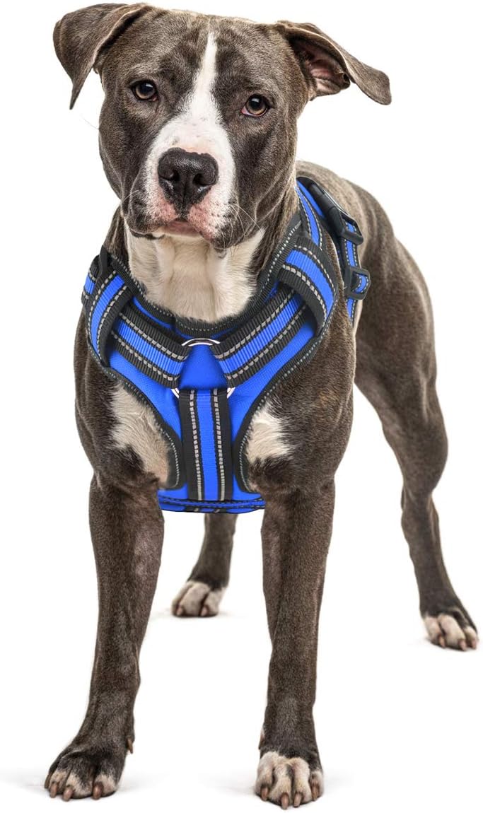 no pull dog harness canada