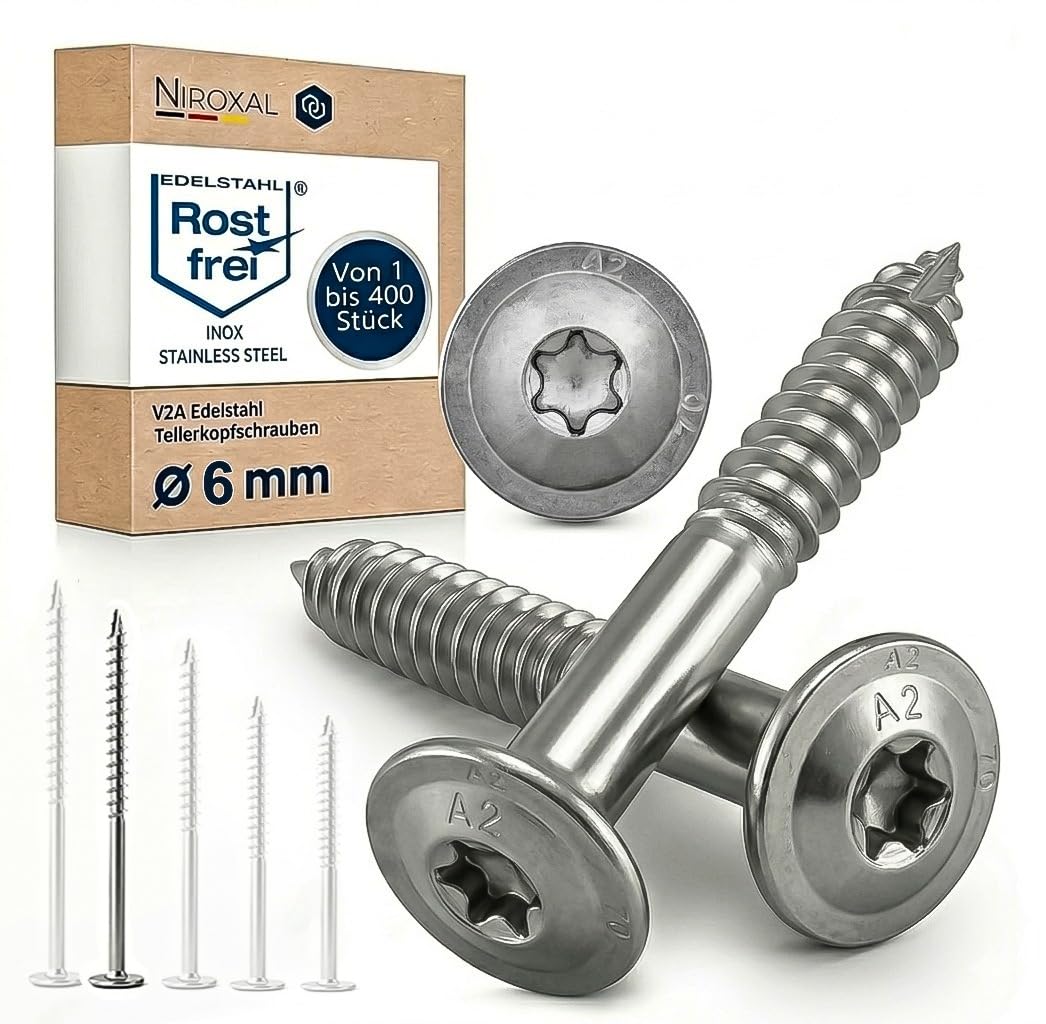 Tornillo de cabeza de disco de acero inoxidable A2 ETA 6 x 100 TX25 Torx V2A con punta de corte, revestimiento deslizante para construcción de madera, garaje, balcón, puente, 200 unidades