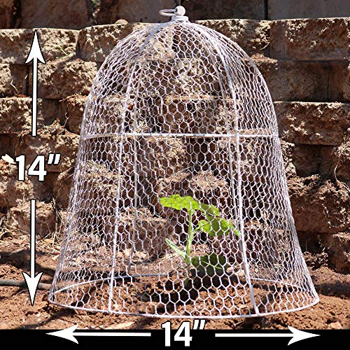 HEIDI & OLAV 14" x 14" Squirrel Proof Chicken Wire Cloche for Plants Metal Plant Cover Cage Garden Animal Protection Metal Plant Cage Protector Dome Rabbit Bunny Guard (14" White)