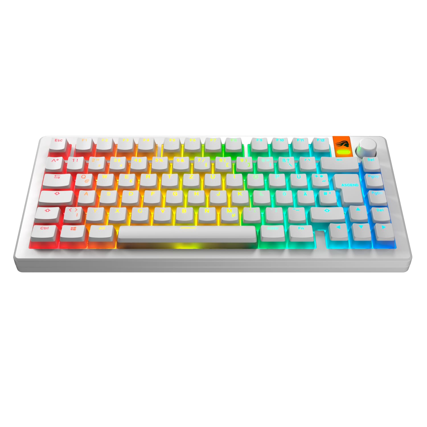 Glorious Gaming - GPBT Aura RGB : Pudding-Style-, Double-Shot PBT, lichtdurchlässig, für mechanische 100%-, 75%-, 65%- und 60%-Spezialtastaturen, Weiß, Deutsche QWERTZ-Belegung