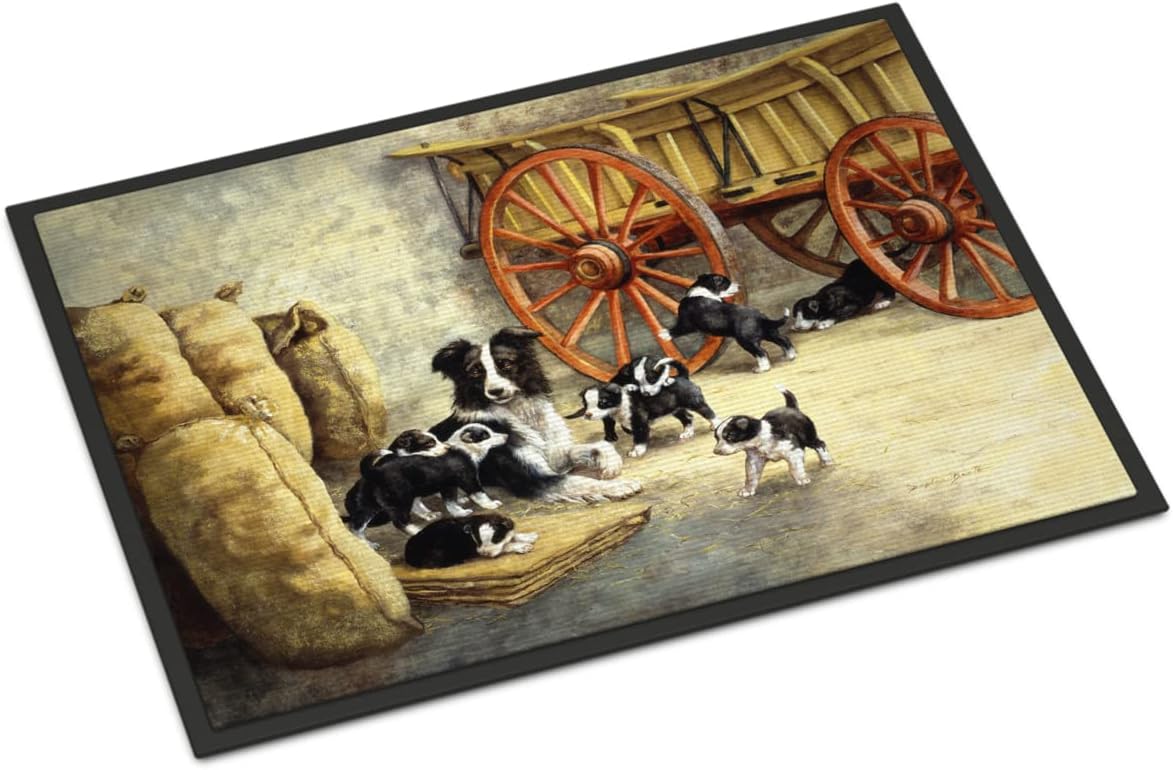 Caroline's Treasures BDBA0118MAT Border Collie Dog Litter Indoor or Outdoor Mat 18x27, 27" L x 18" W, Multicolor