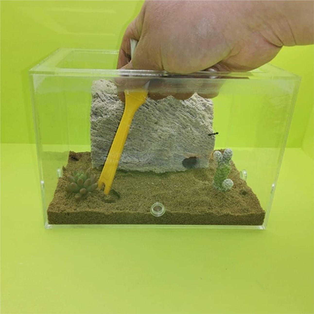 Formicarium pour Fourmis, Nid de château Maison formicarium Fourmis en Acrylique Transparent for l'observation Scientifique. Taille