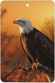 Golden Sunset Bald Eagle Print Car Air Fresheners Cute Hanging Air Freshener Fragrance Scented Cards Car Pendant Decor Aromatherapy Tablets for Car Bedroom Wardrobe Shoe Cabinet