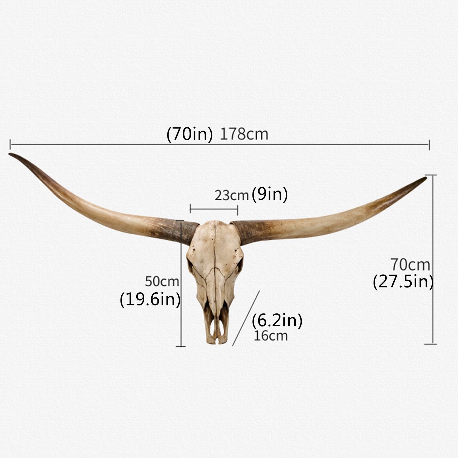 Decoración de pared con cuernos largos de 70 pulgadas,cráneos de animales,cráneo de cuernos largos, cráneo de vaca, cráneo de animal real, decoración de pared con cabeza de animal, taxidermia falsa(Br