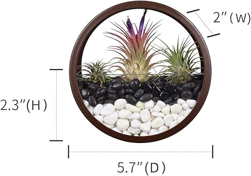 Miniatura 7 de Maceteros redondos colgantes de pared, contenedores de metal contemporáneos, jarrón circular de hierro para suculentas o hierbas, decoración de