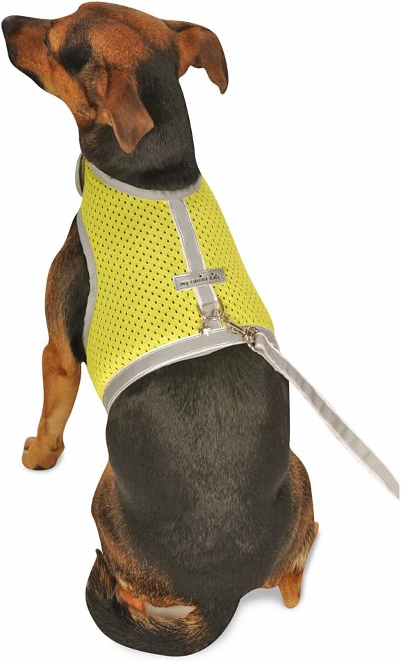 My Canine Kids Athletic Mesh Dog Harness for Teacup