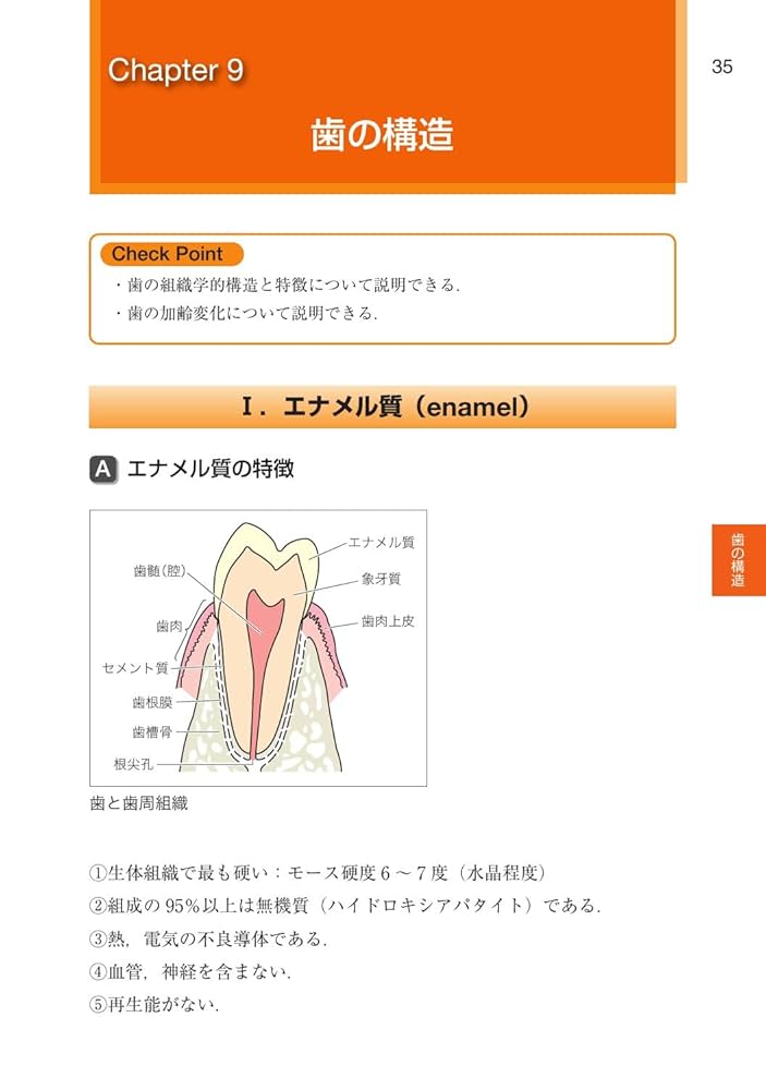 口腔組織・発生学 第２版 口腔組織・発生学第2版 | 脇田 稔, 前田 健康, 中村 浩彰, 網塚