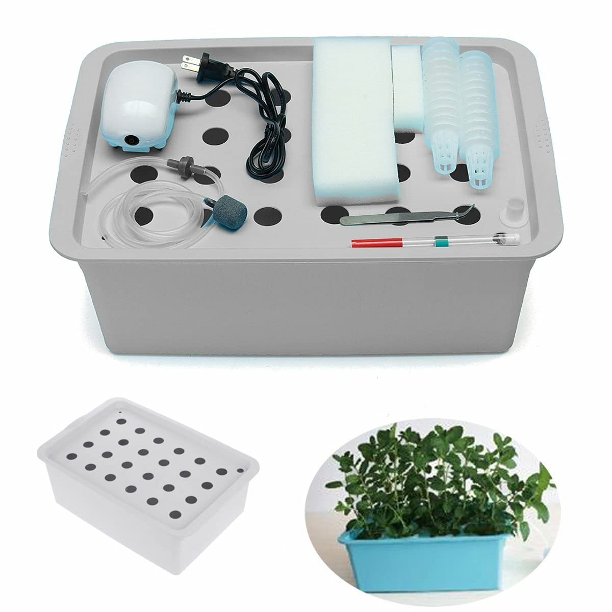 110V / 220V 24 Hole Soilless Hydroponic Box Cultivation Equipment Container for Vegetable Planting Growing Container (Color : 1)