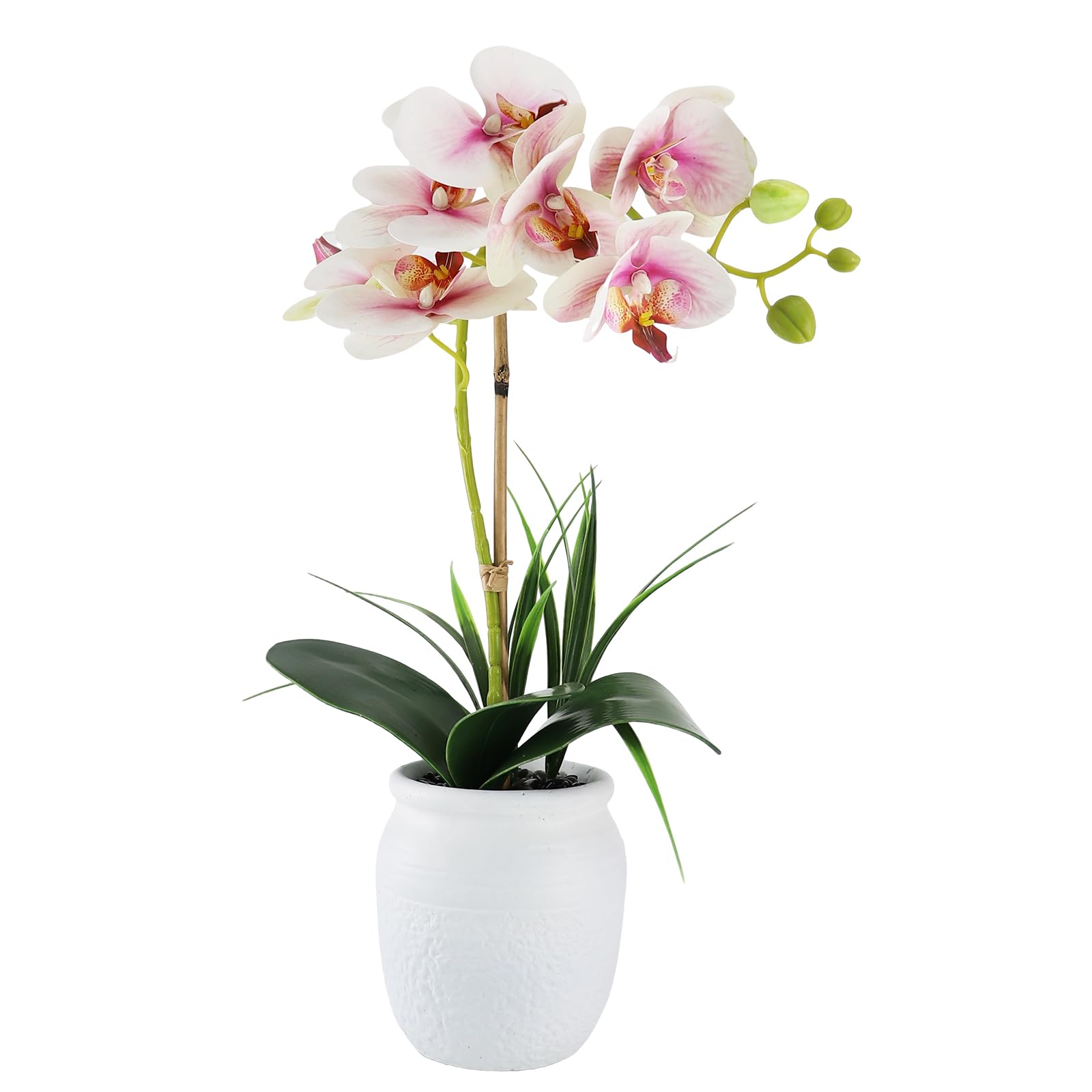 SENCOS Artificial Orchid