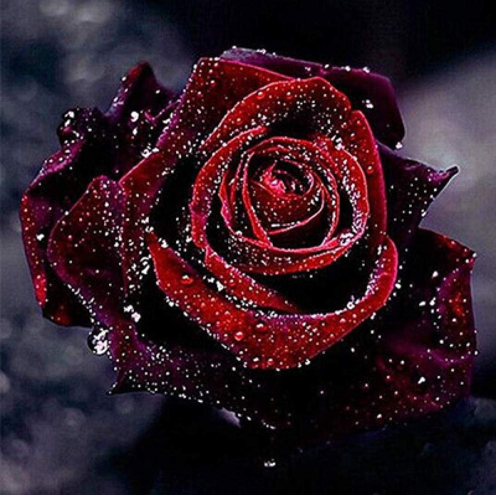 Broderie diamant 5D rose rouge pour salon zen | Mosaïque strass ronds déco murale 55 cm