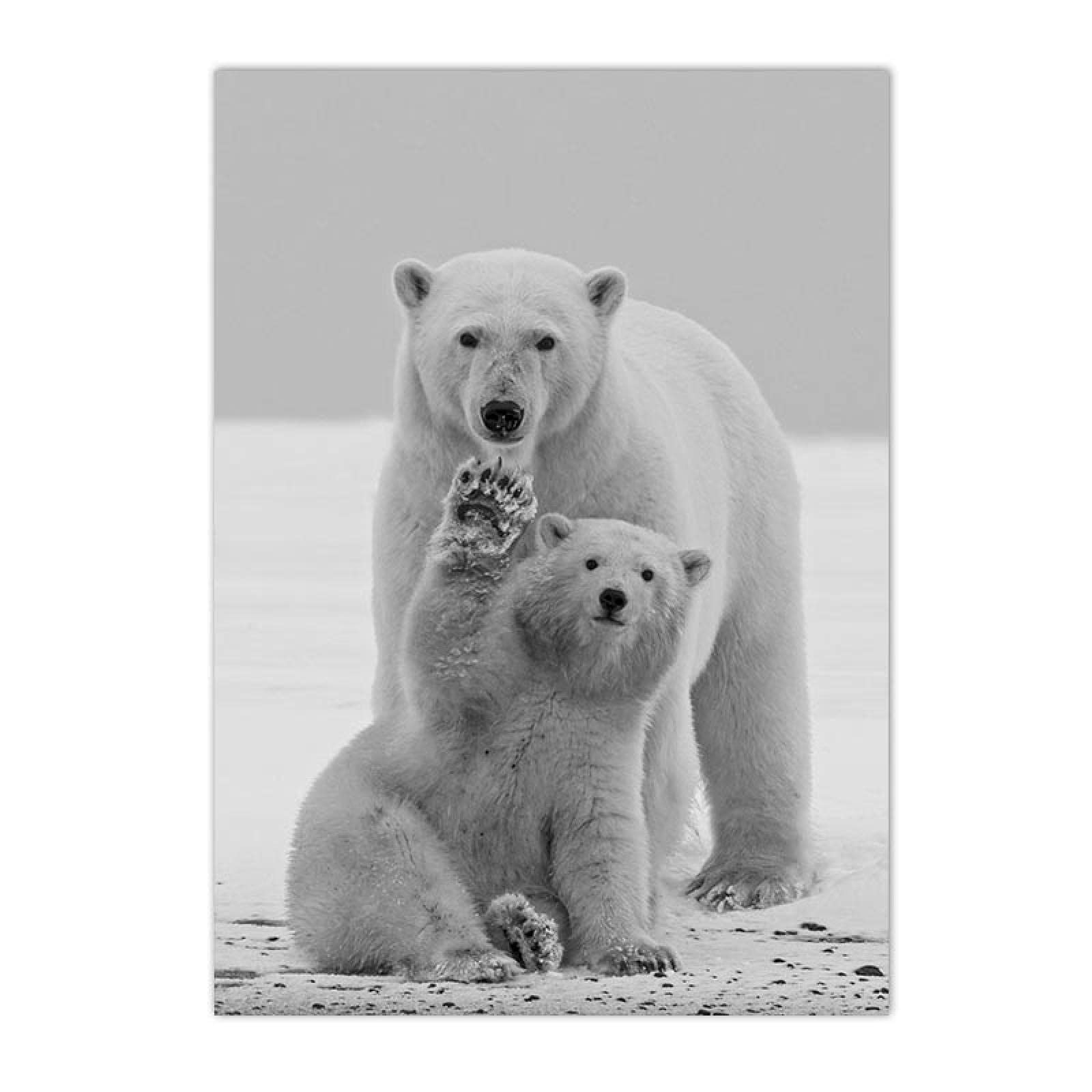 Amazon.co.jp: ライオンホッキョクグマの壁のアートポスターとプリント