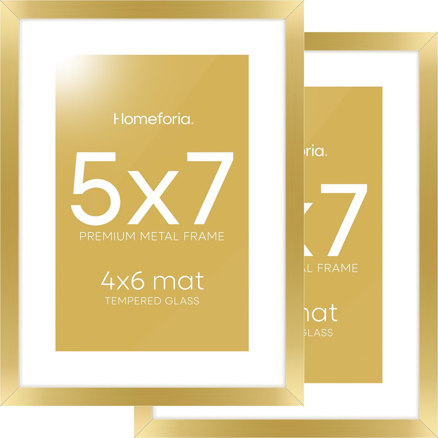 Homeforia 5x7 Gold Frame with Glass & Mat (Set of 2)