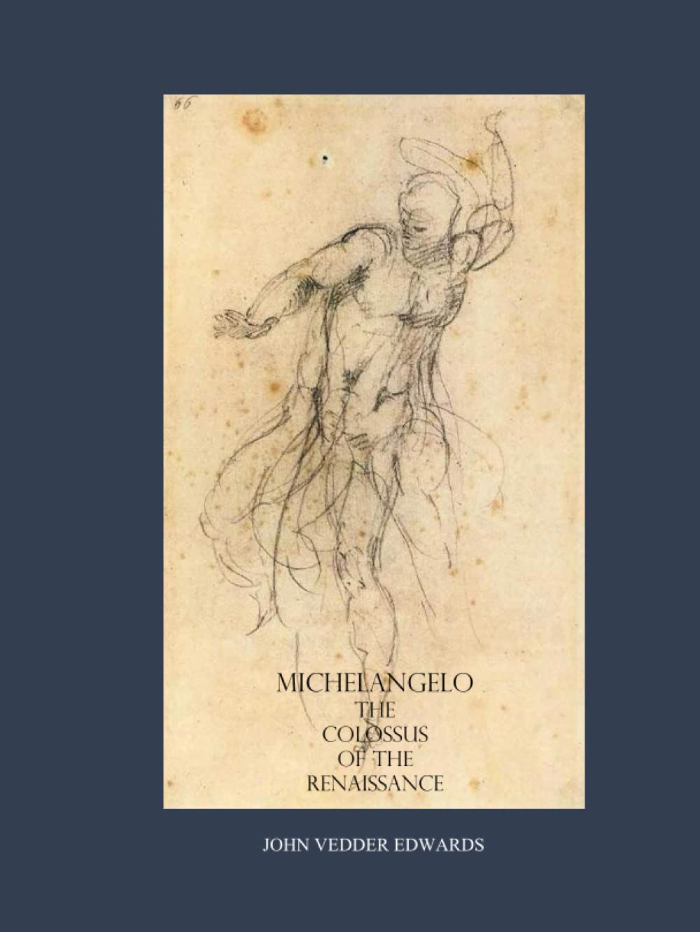 Michelangelo The Colossus of the Renaissance histoire grand format