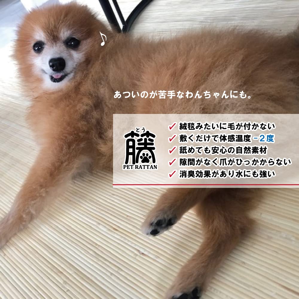 Amazon | 夏用 ラグ 籐 むしろ 籐敷物 標準品「新山」 730 セミ