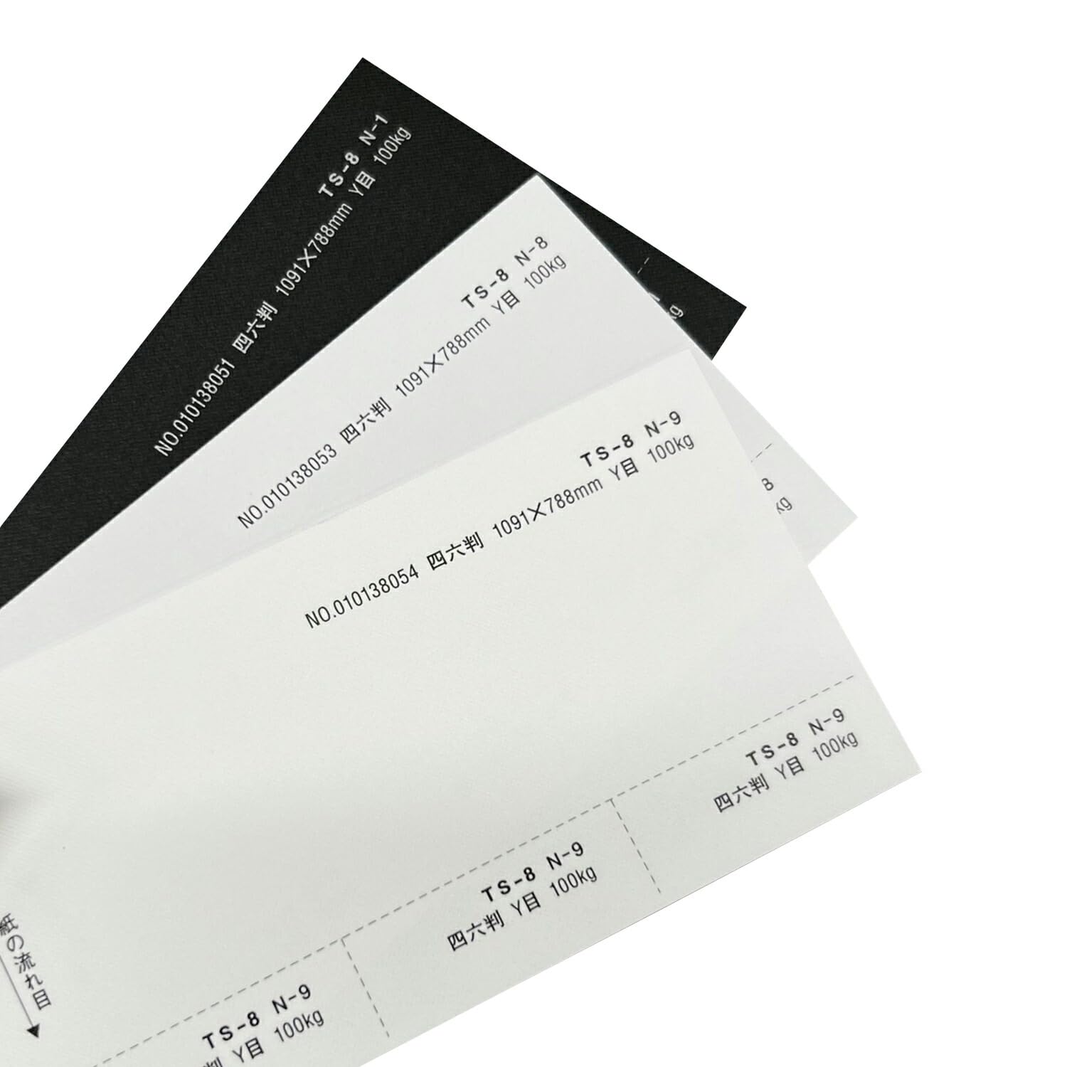 Amazon.co.jp: タントセレクト TS-8 130kg N-9 B5 50枚 : 文房具