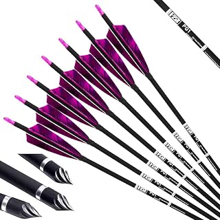 PG1ARCHERY 31-Inch Carbon Arrows Target Practice Hunting Arrow with 4