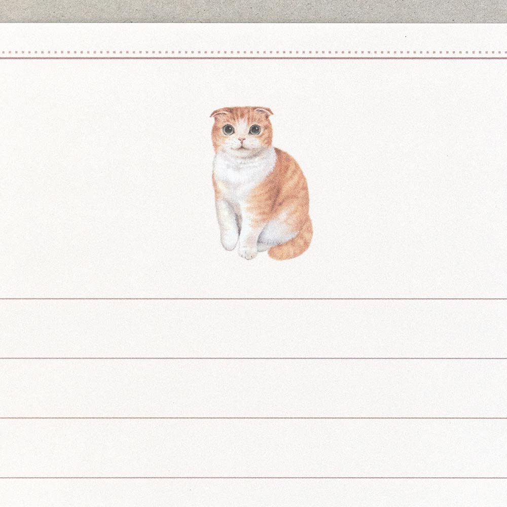 素敵な手紙封筒入れ♡昭和レトロな顔の猫？寅？　レア 猫のレターセット レトロ日記 L判ミニレターセット くろねこと