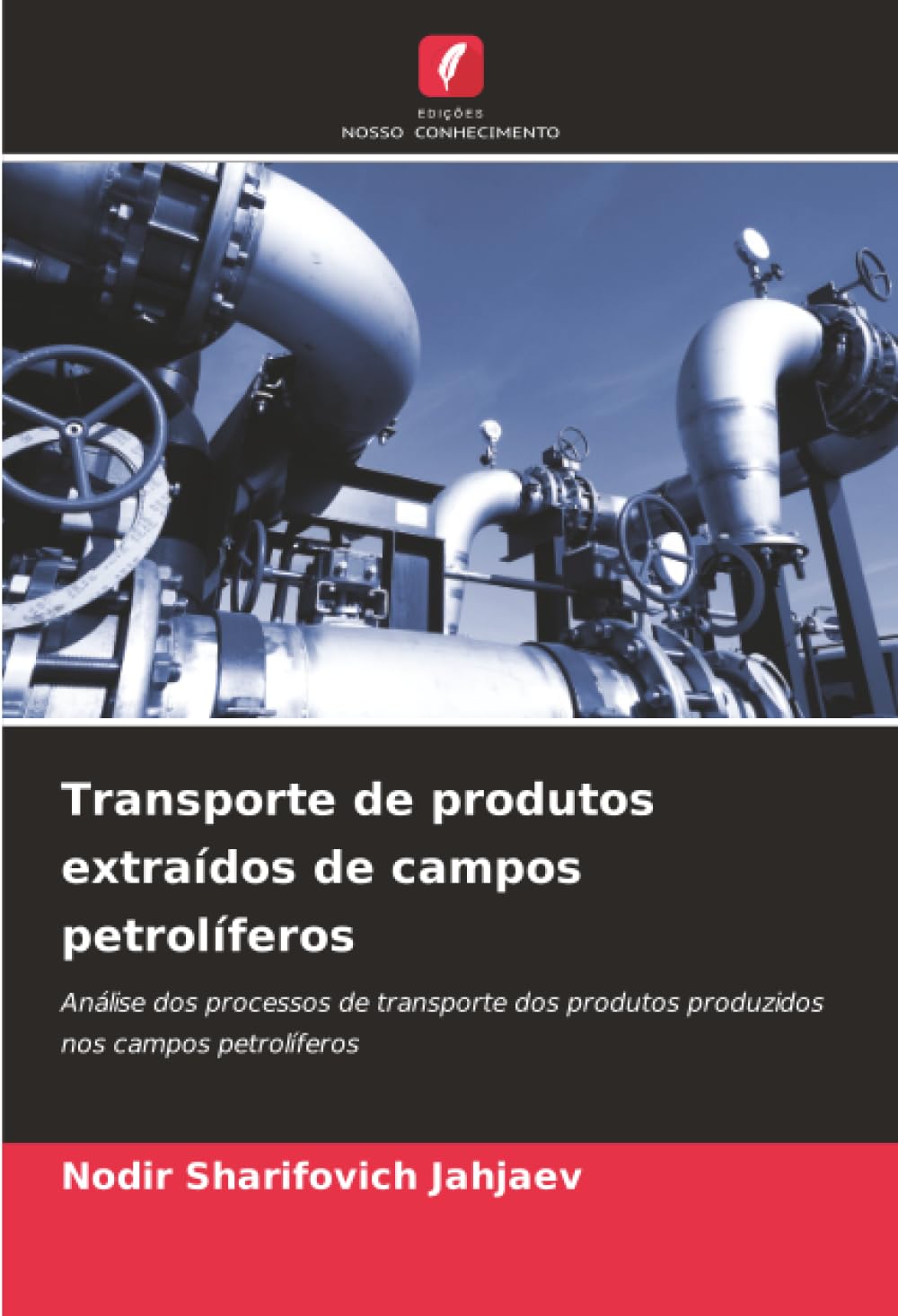 Transporte de produtos extraídos de campos petrolíferos: Análise dos processos de transporte dos produtos produzidos nos campos petrolíferos
