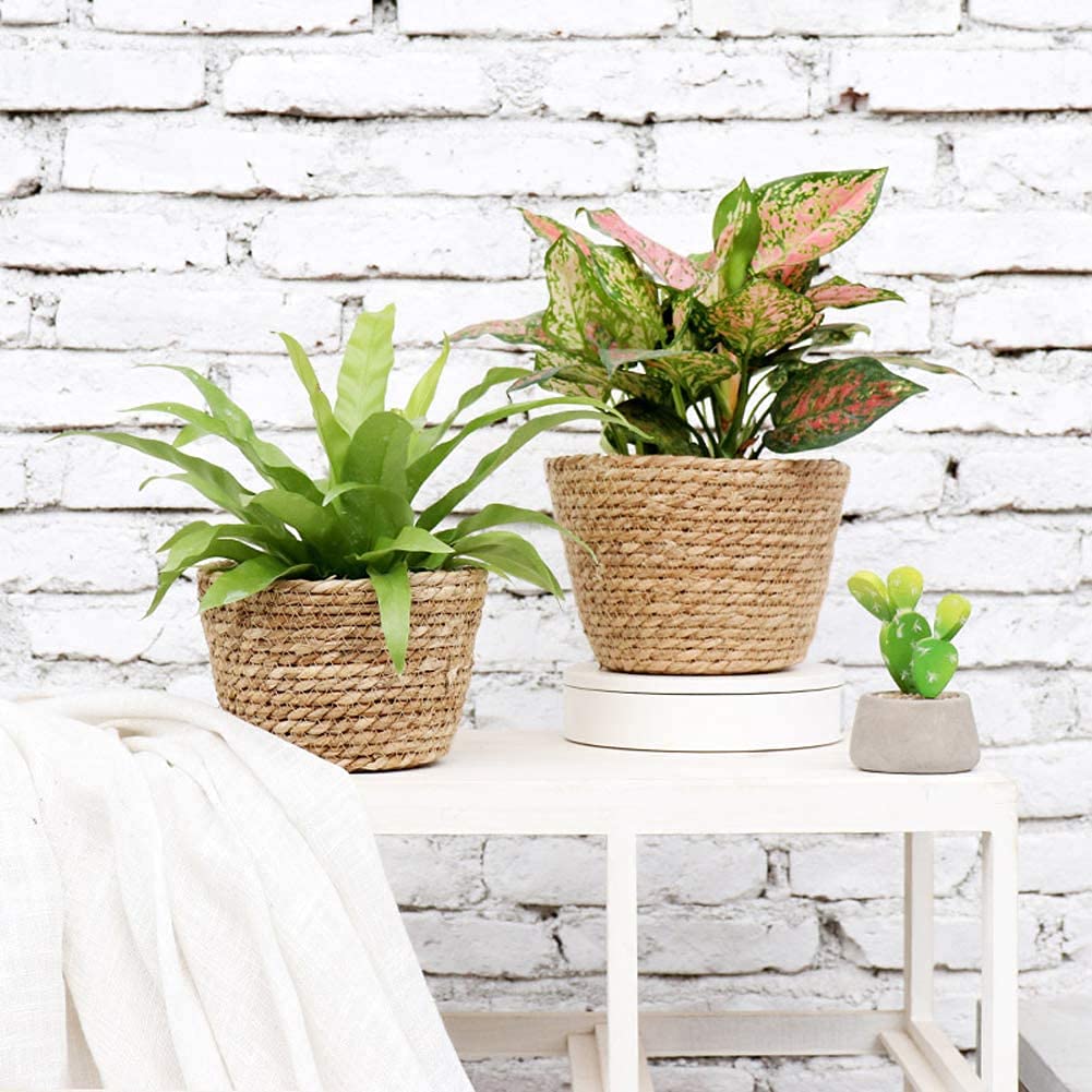 Fioriera naturale intrecciata a mano con fodera per piante in rattan, piccole, medie, grandi, 3 pezzi