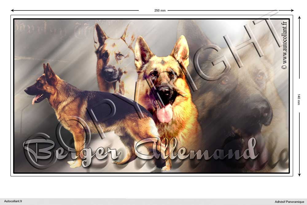 Adesivo Panoramico Per Cane Tervueren, Pretagliato 25x14 Cm, Per Auto, Camper, Superfici Lisce, Resistente UV