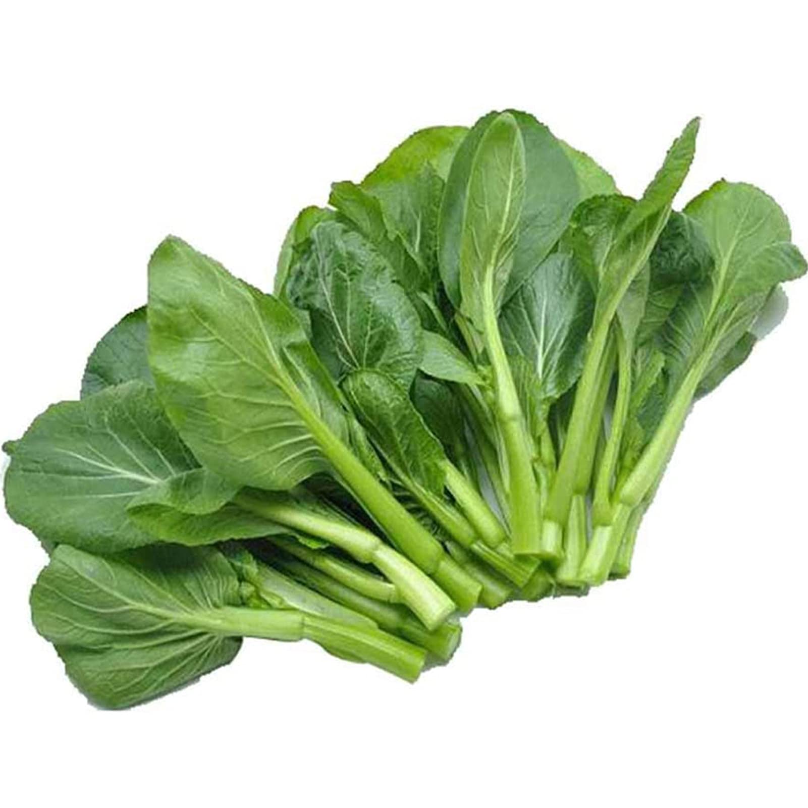 VibeX Hybrid Choy Sum Seeds-250 Seeds (B0B9YNYFBN) Amazon Price History, Amazon Price Tracker