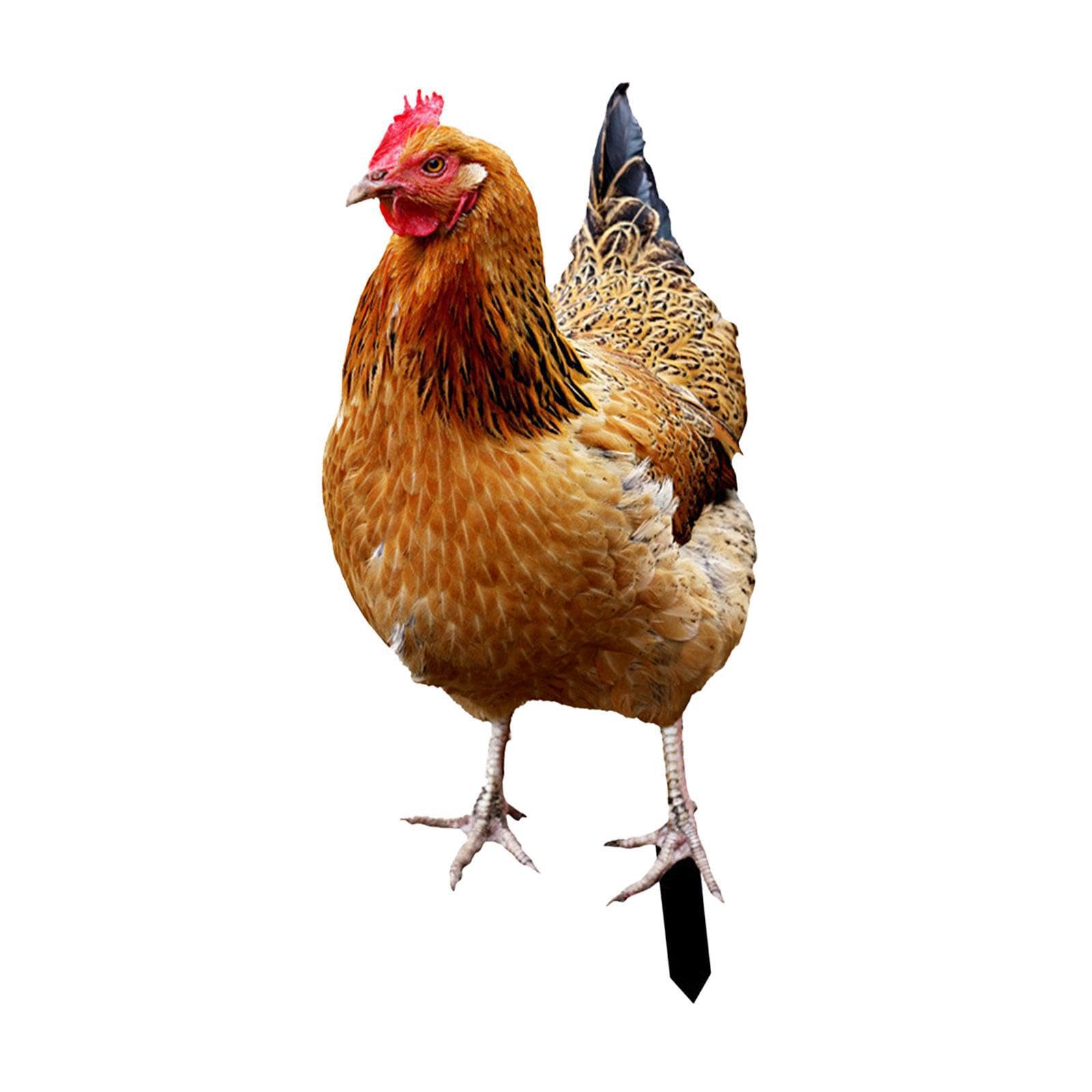 mophrati Double Sided Printed Chicken Yard Art Accent For Courtyards And Backyards Brightening Up Outdoor Environments Realistic Hen Yard Sign Lifelike for, Brown, 33x15.2cm