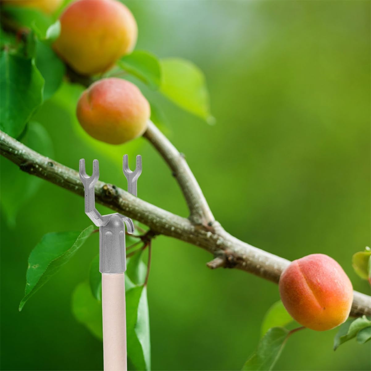 Mipcase 45pcs Metal Tree Branch Support for Fruit Trees Matte Finish Garden Accessory for Straightening and Supporting Fruited Branches and Easy to Install